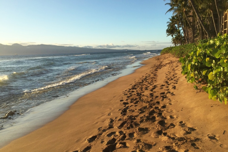 viajar a Maui