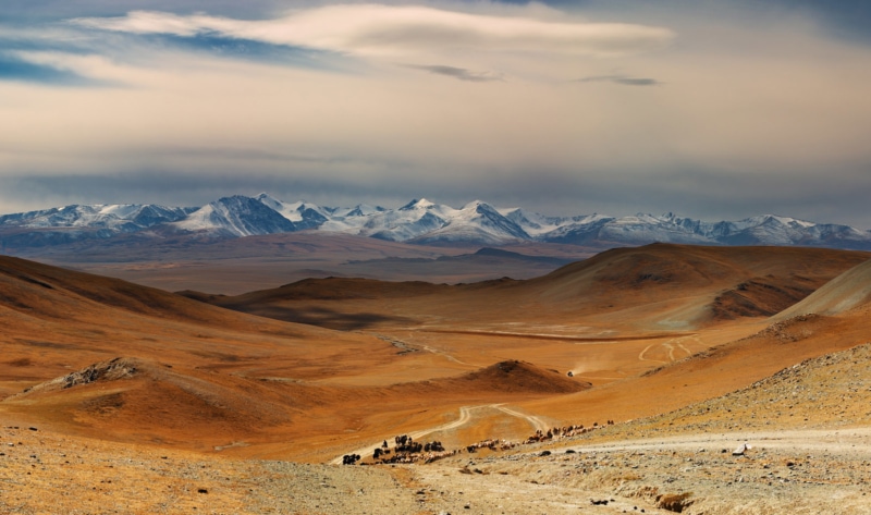 viajar a mongolia