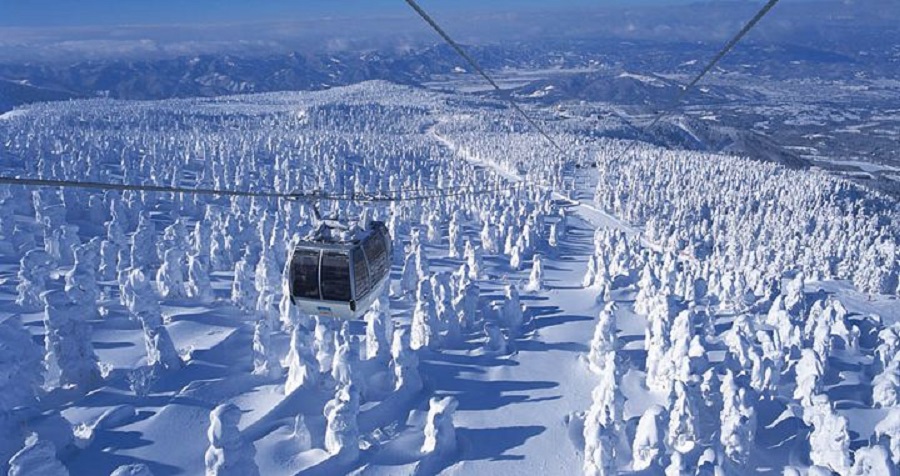 esquiar en japon